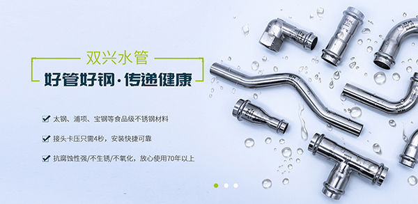 廣東雙興新材料集團有限公司-營銷型網站案例展示