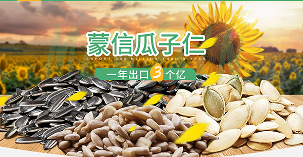 五原縣誠信糧油食品有限責任公司-營銷型網站案例展示